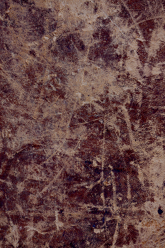 Antique Leather 01